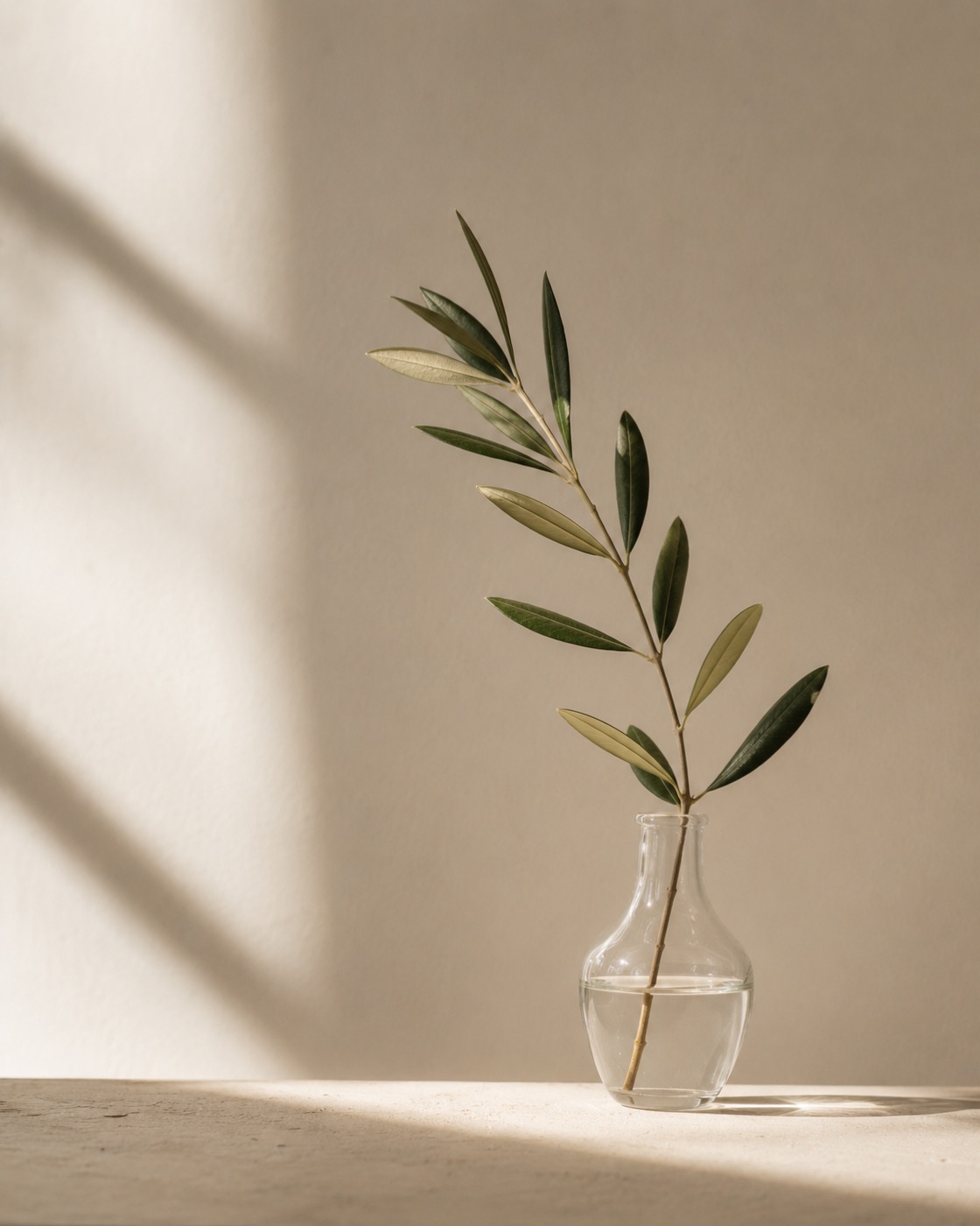 A single sprig of olive leaves in a clear glass vase against a soft wall.